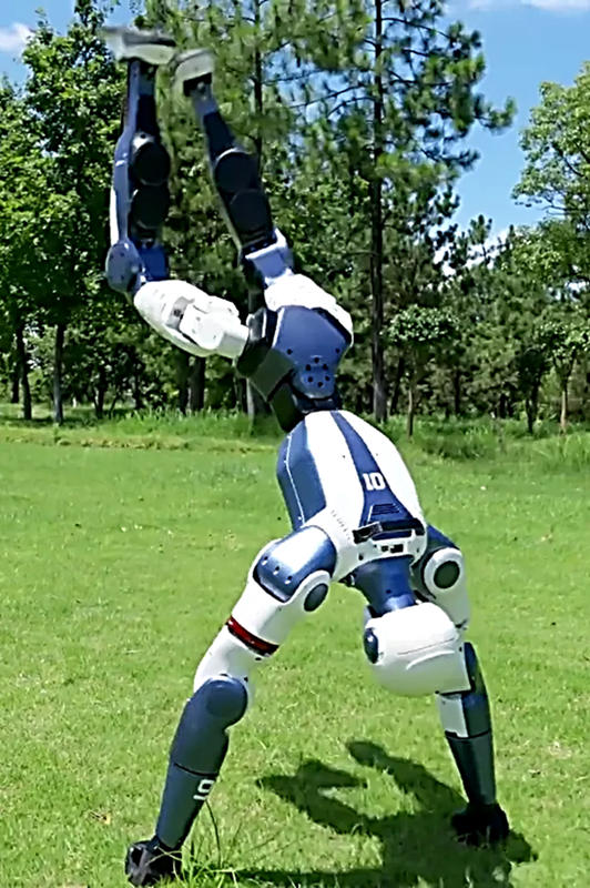 image – 2025-12-12T003405.973