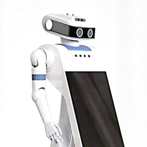 Hospitality Service Payment AI Robot